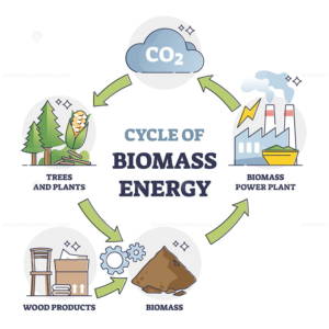 Cycle_of_Biomass_Energy_outline
